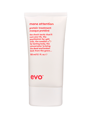Evo Mane Attention Protein Treatment