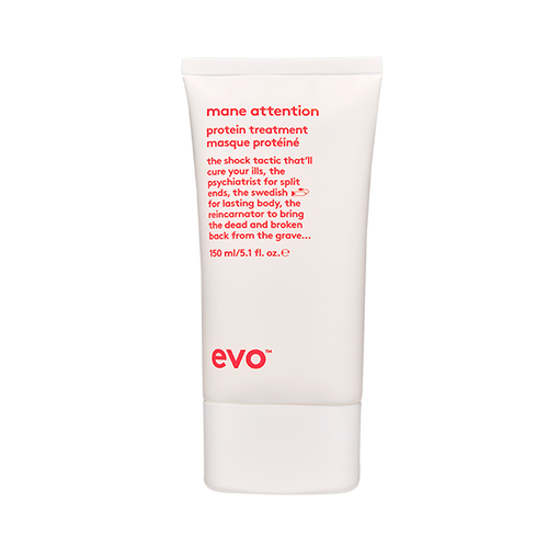 Evo Mane Attention Protein Treatment