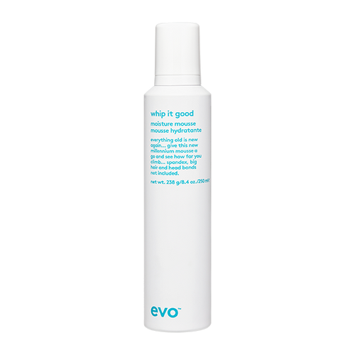 Evo Whip It Good Styling Mousse